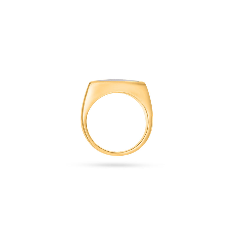 VIKA jewels AMOUREUX COLLECTION CLASSIC UNISEX SIGNET RING WITH GENUINE SHELL and SLIGHTLY ROUNDED SIDES 15 MM LENGTH and 12 MM WIDTH 925 recycled sterling silver handmade in Bali 18 carat gold plated