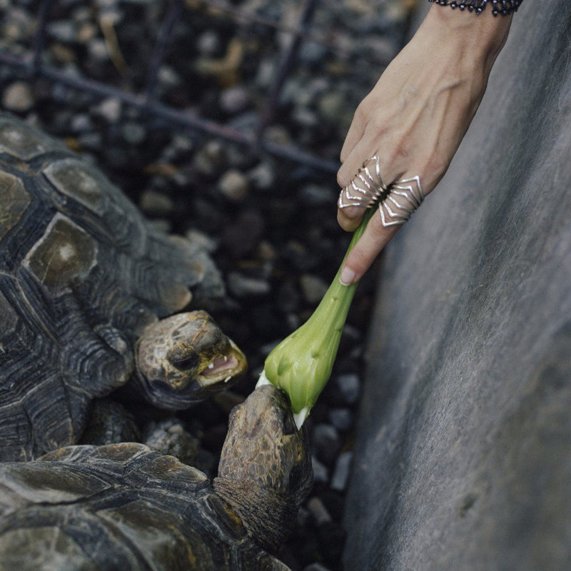 VIKA jewels beaucoup de vent ring recycled recycling sterling silber silver statement handmade handgemacht Bali fashion jewels jewelry musthave schmuck photographer Natasha Serezhnikova Model Aiste Krep turtle shoot